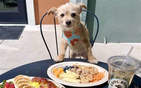 Restaurant #6